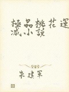 极品桃花运未删减小说