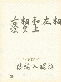 右相和左相一起淦皇上