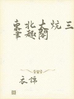 东北大炕三部曲笔趣阁