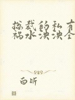 总裁的私有宝贝祸水泱泱全文阅读