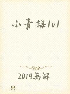 小青梅1v1