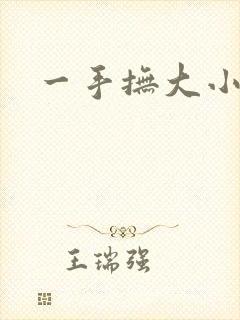 一手抚大小说