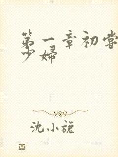第一章初尝极品少妇