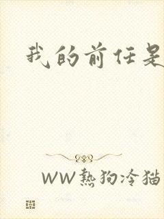 我的前任是极品