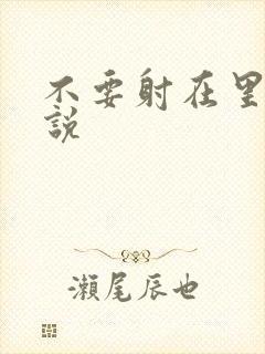 不要射在里面小说