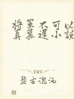 将军不可以魏云真慕迟小说笔趣阁