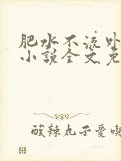 肥水不流外人田小说全文免费阅读全本免