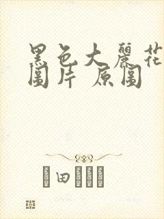 黑色大丽花真实图片 原图