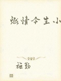燃情今生小说