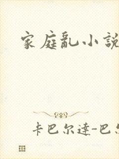 家庭乱小说