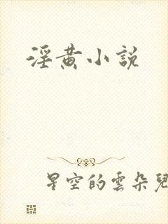 淫黄小说