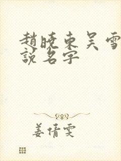 赵晓东吴雪晴小说名字