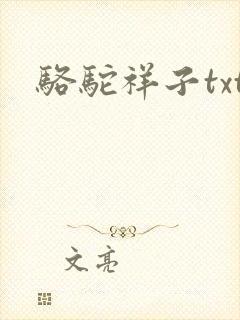 骆驼祥子txt封面