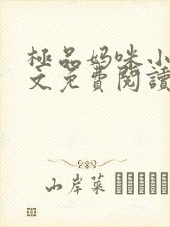 极品妈咪小说全文免费阅读