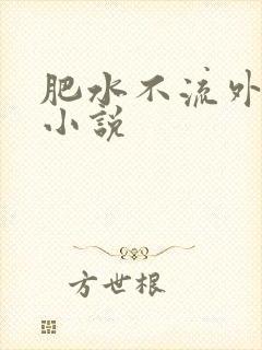 肥水不流外人田小说