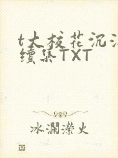 t大校花沉浮录续集TXT