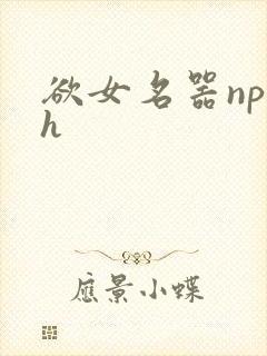 欲女名器np高h