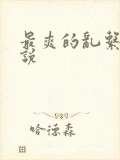 最爽的乱系列小说