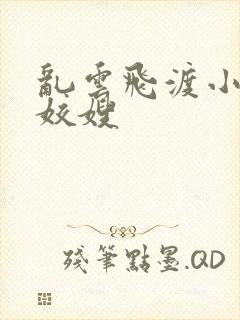 乱云飞渡小说之姣嫂