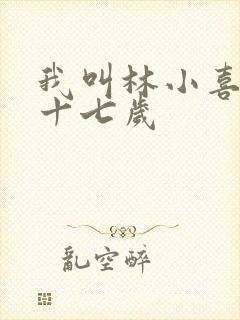 我叫林小喜今年十七岁