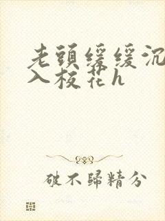 老头缓缓沉腰进入校花h