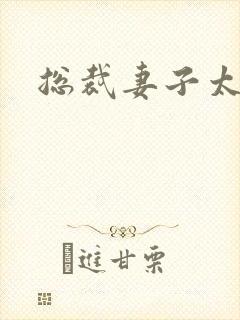 总裁妻子太诱人