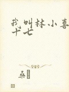 我叫林小喜今年十七