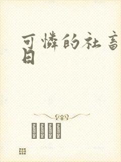 可怜的社畜东度日