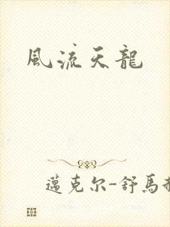 风流天龙