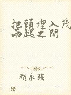 把头埋入茂密的两腿之间封面