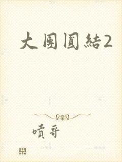 大团圆结2