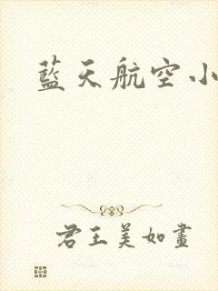 蓝天航空小说