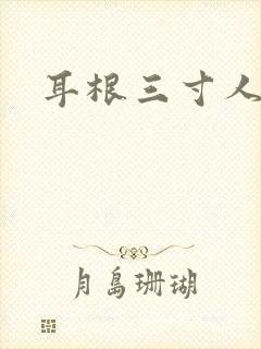 耳根三寸人间