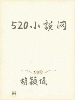 520小说网