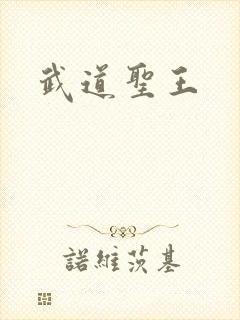 武道圣王
