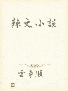 辣文小说