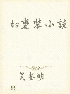 ts变装小说