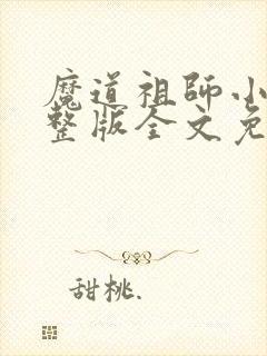 魔道祖师小说完整版全文免费阅读