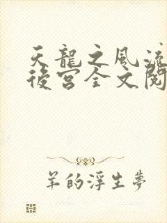 天龙之风流猎艳后宫全文阅读