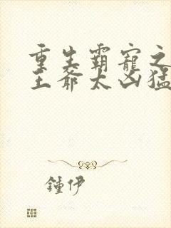 重生霸宠之摄政王爷太凶猛