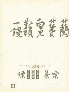 一对白花花的大馒头免费阅读