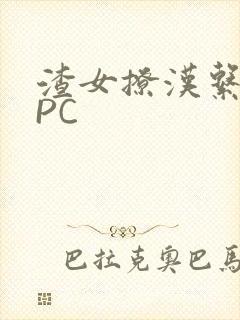 渣女撩汉系统NPC