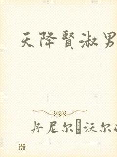 天降贤淑男小说