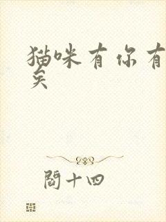 猫咪有你有我足矣