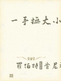 一手抚大小说