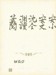 萧渊沈安安免费阅读全文小说