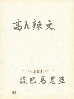 高h辣文