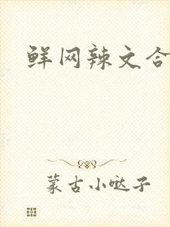 鲜网辣文合集