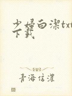 少妇白洁txt下载