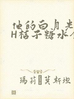 他的白月光HVH桔子糖水全文
